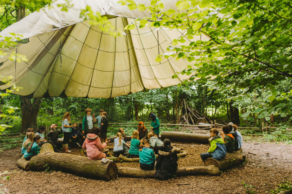 Woodland base in forest