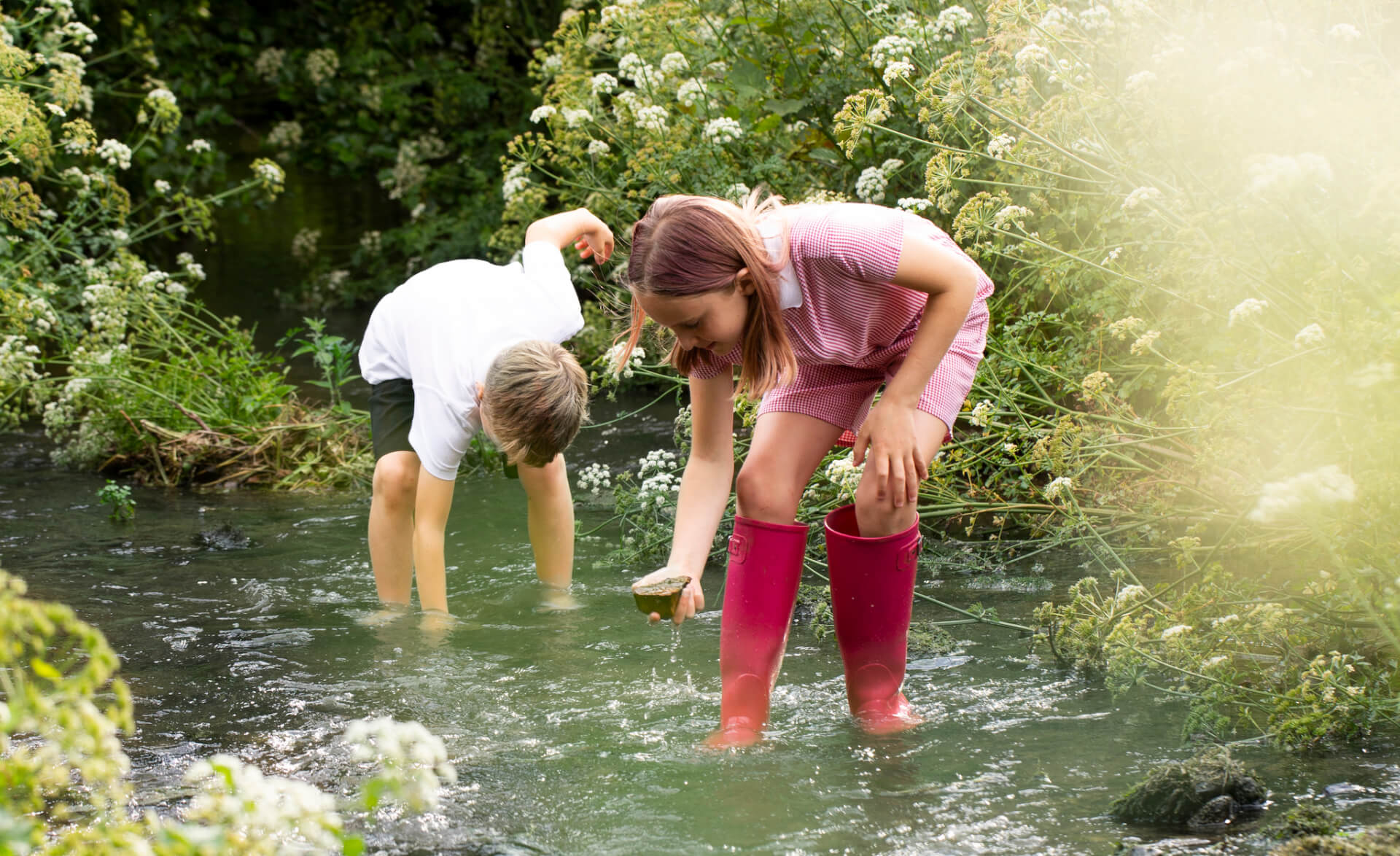 Miroma, Children, Kids, River, Stream, Water, Green, Wildflowers, Wild Flowers