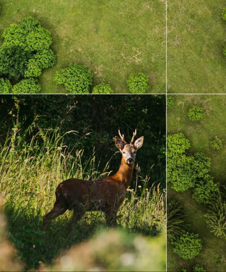 Biodiversity Net Gain - Offsite units available