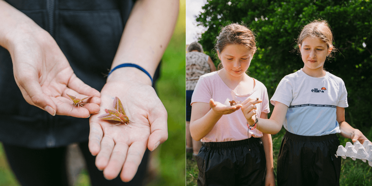Kids during nature education programme