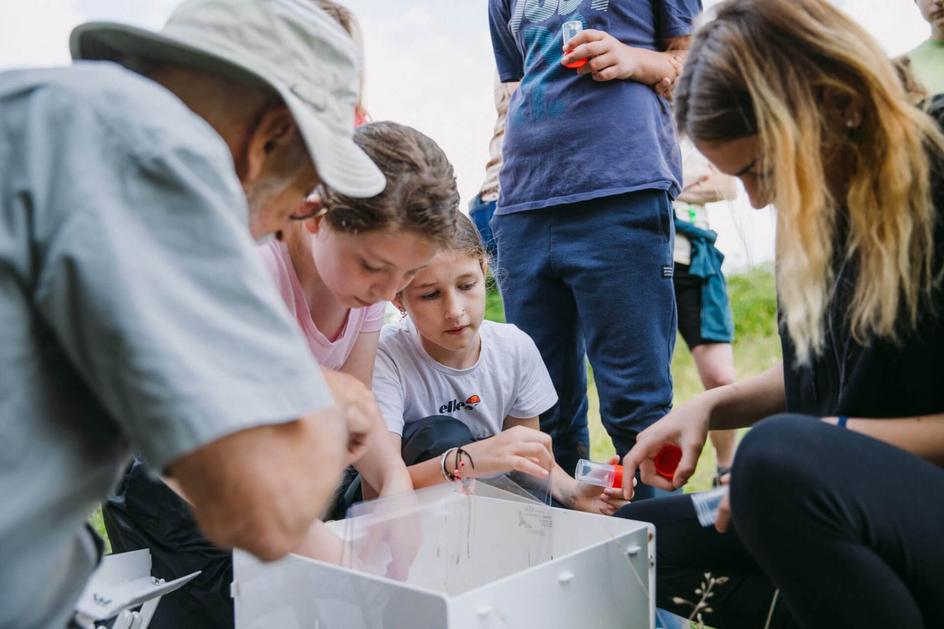 Children surveying moths