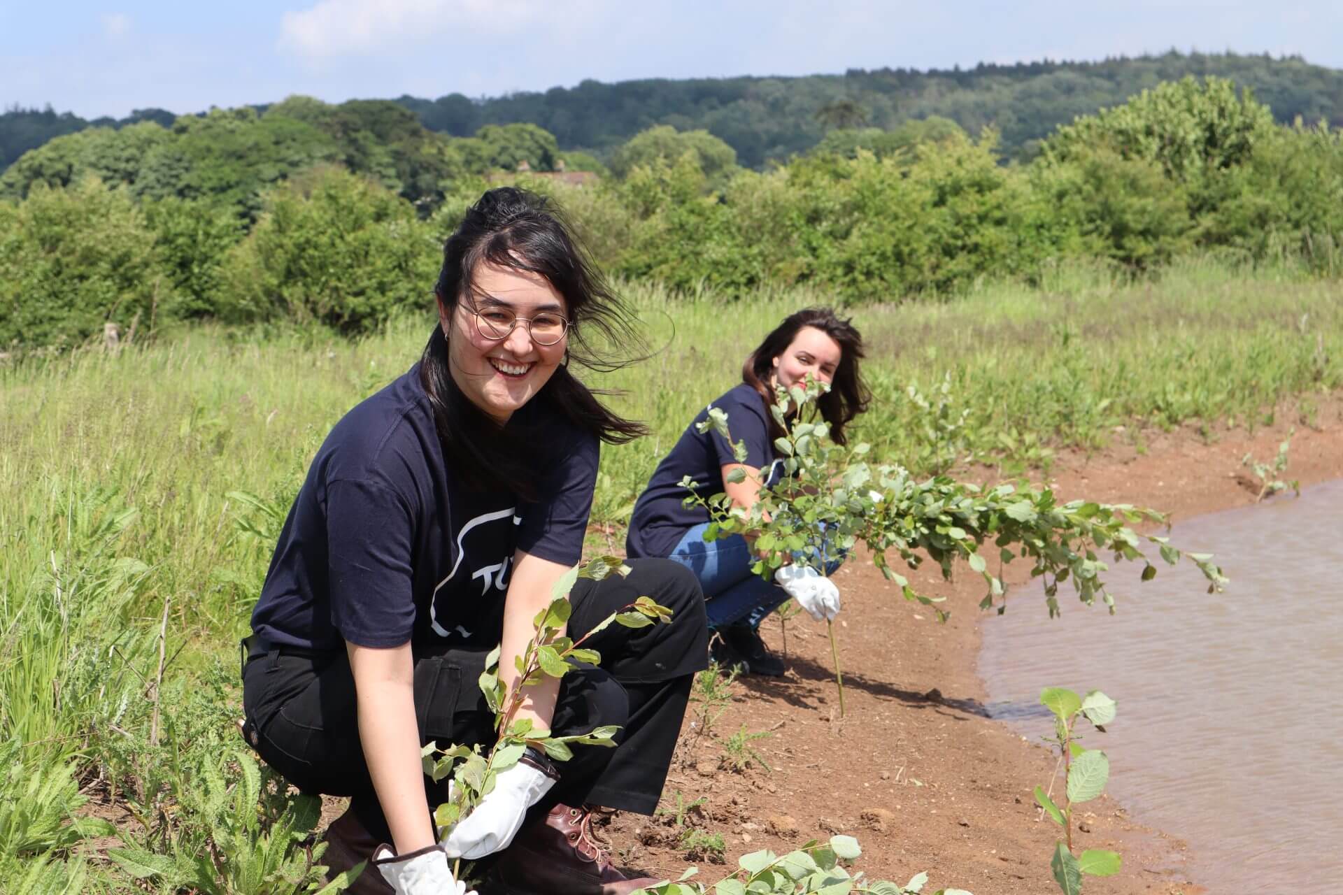 Replanting willow cuttings on wetland riverbanks