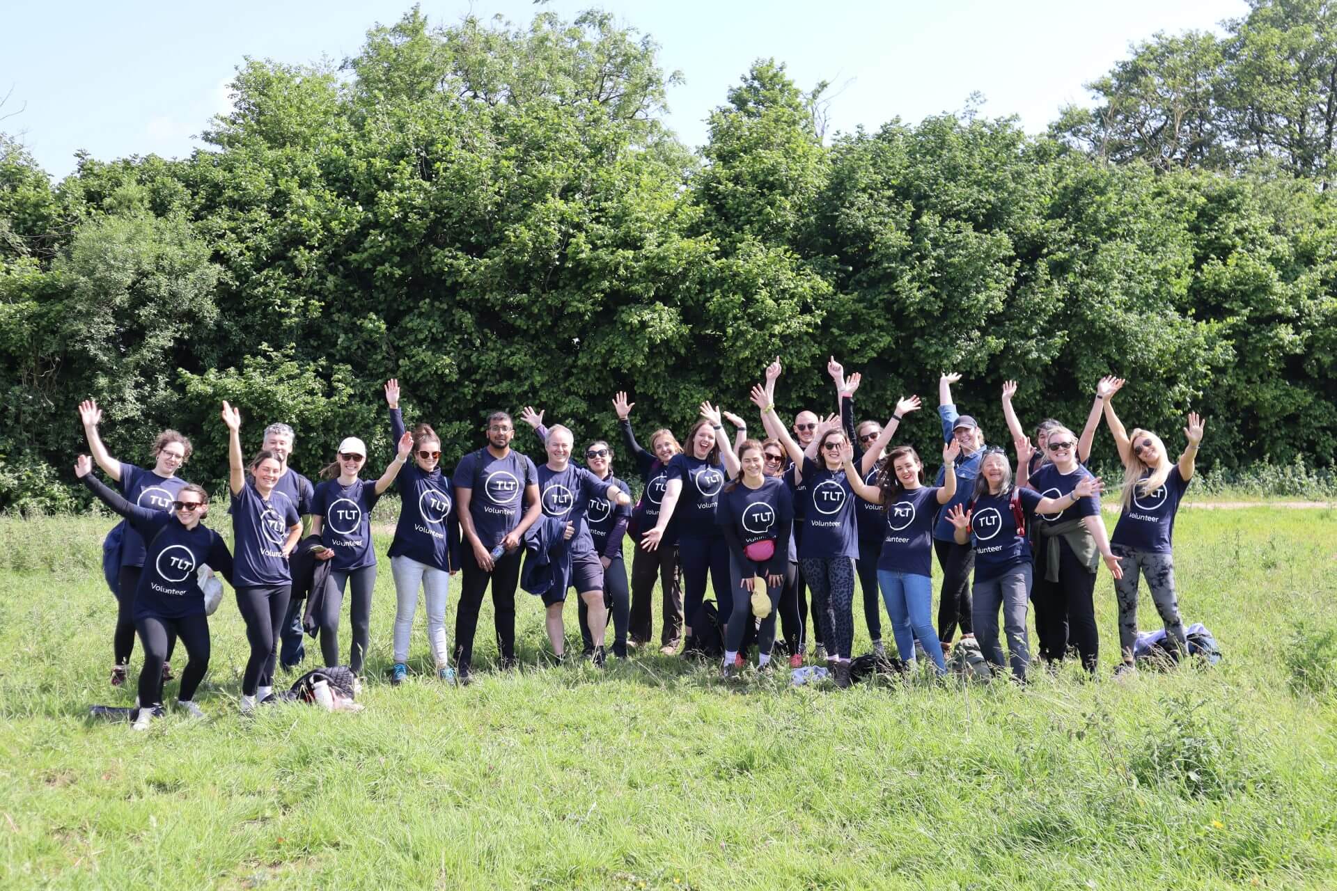 Group of corporate volunteers in rewilding project