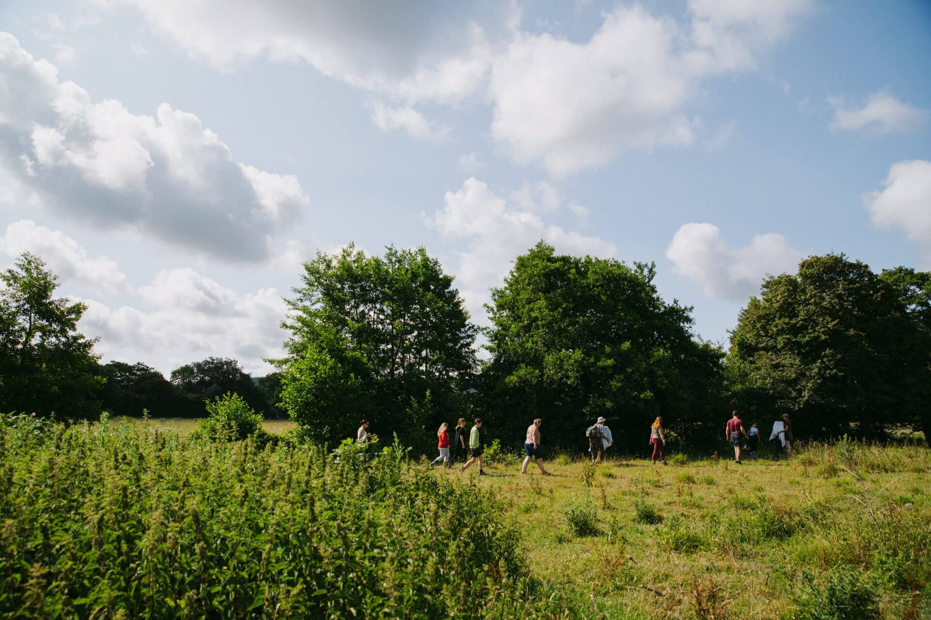 Volunteering in rewilding project