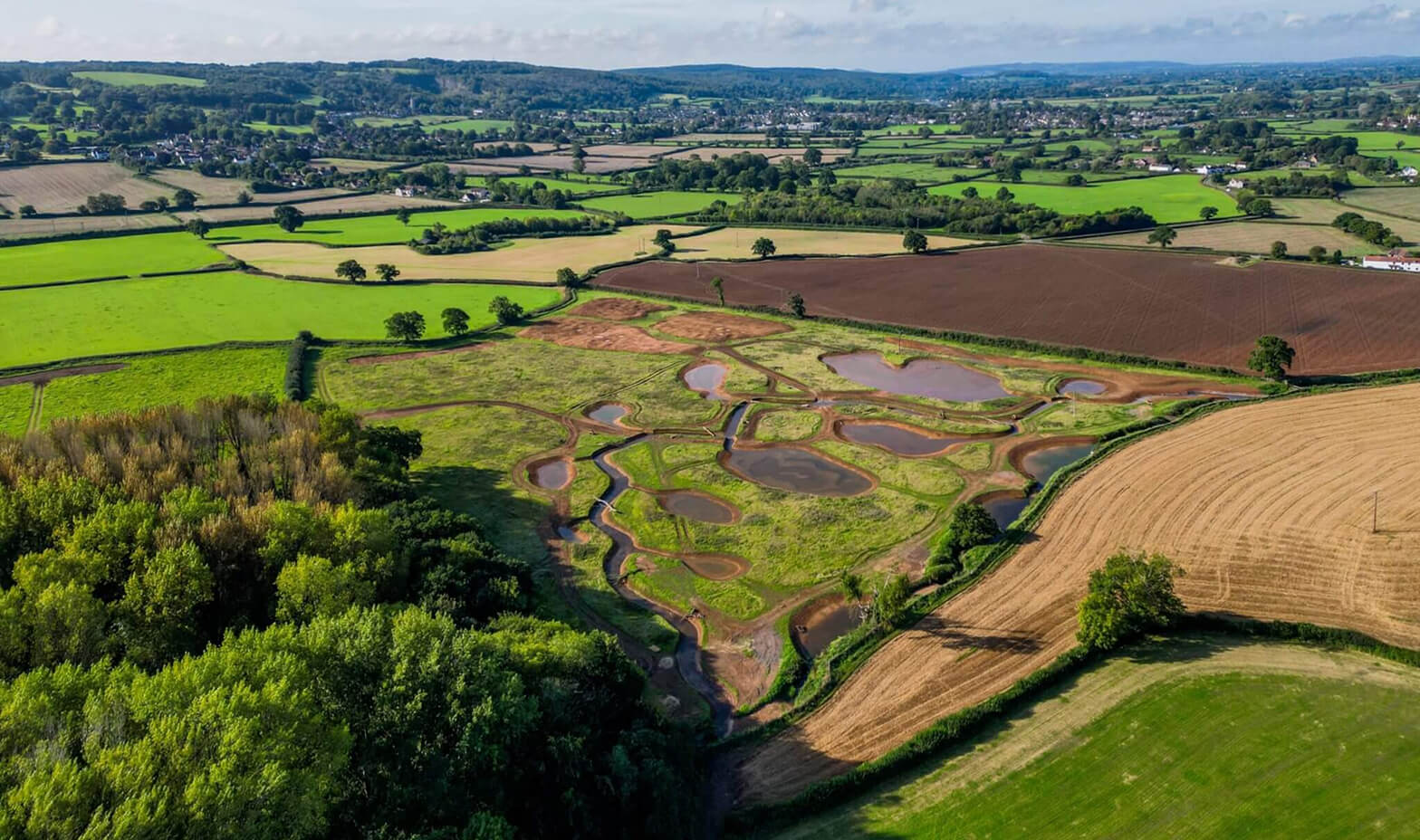 belmont-content-fields