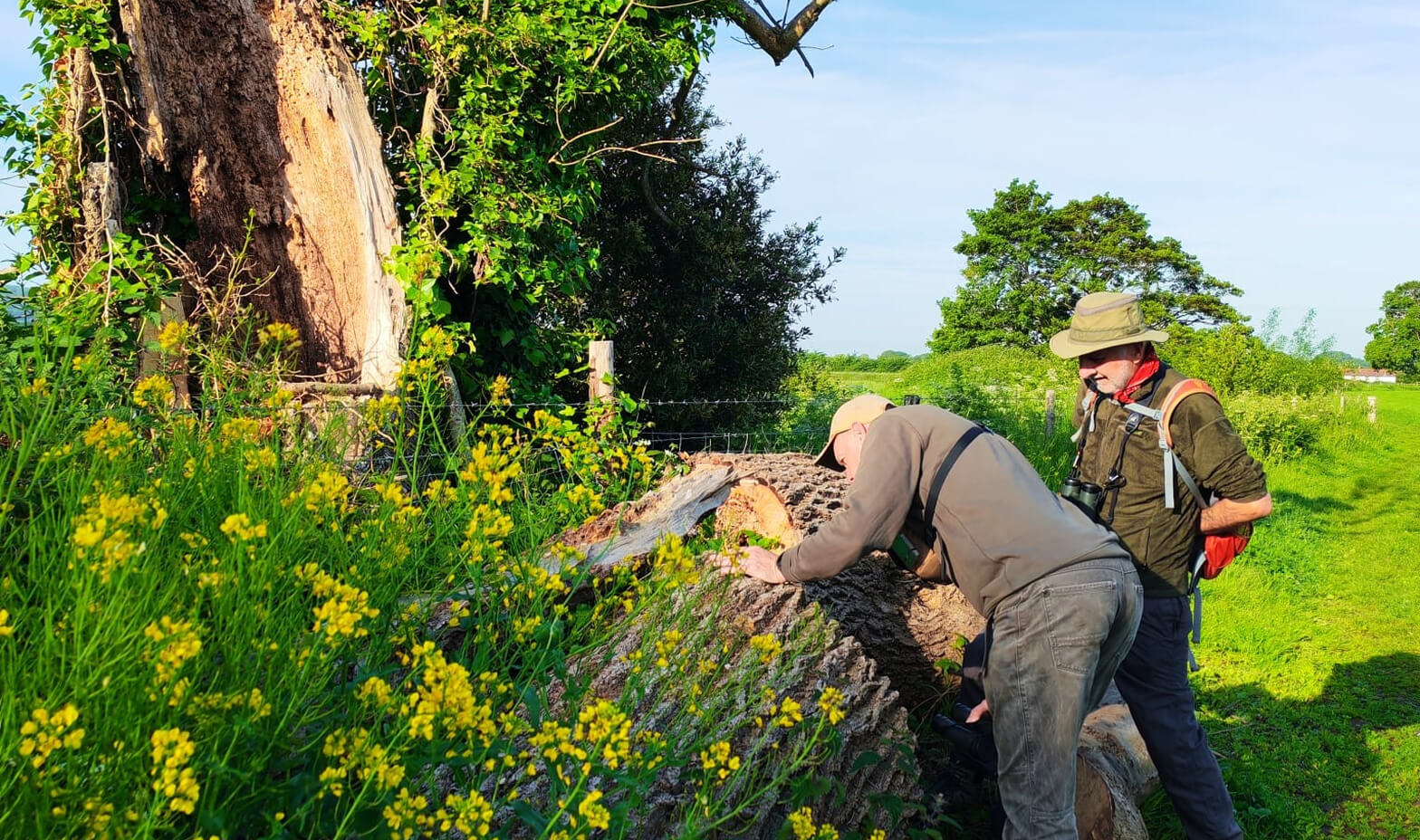 belmont-content-wildlife-volunteering