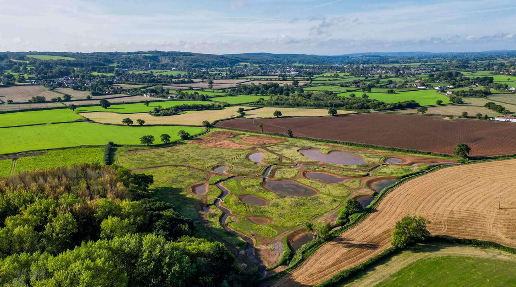 belmont-location-watercress-farm